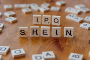 EverestIMS Technologies IPO