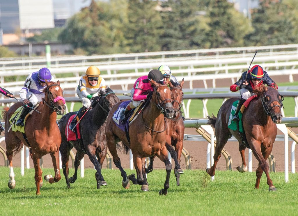 Canada horseracing industry