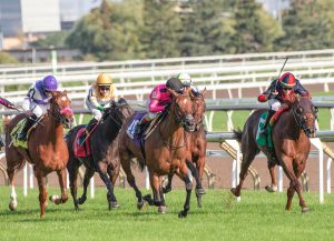 Canada horseracing industry